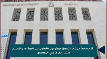 191 مسجداً مرشحاً لتطبيق بروتوكول التعاون بين الأوقاف والتعليم 2025.. تعرف على التفاصيل